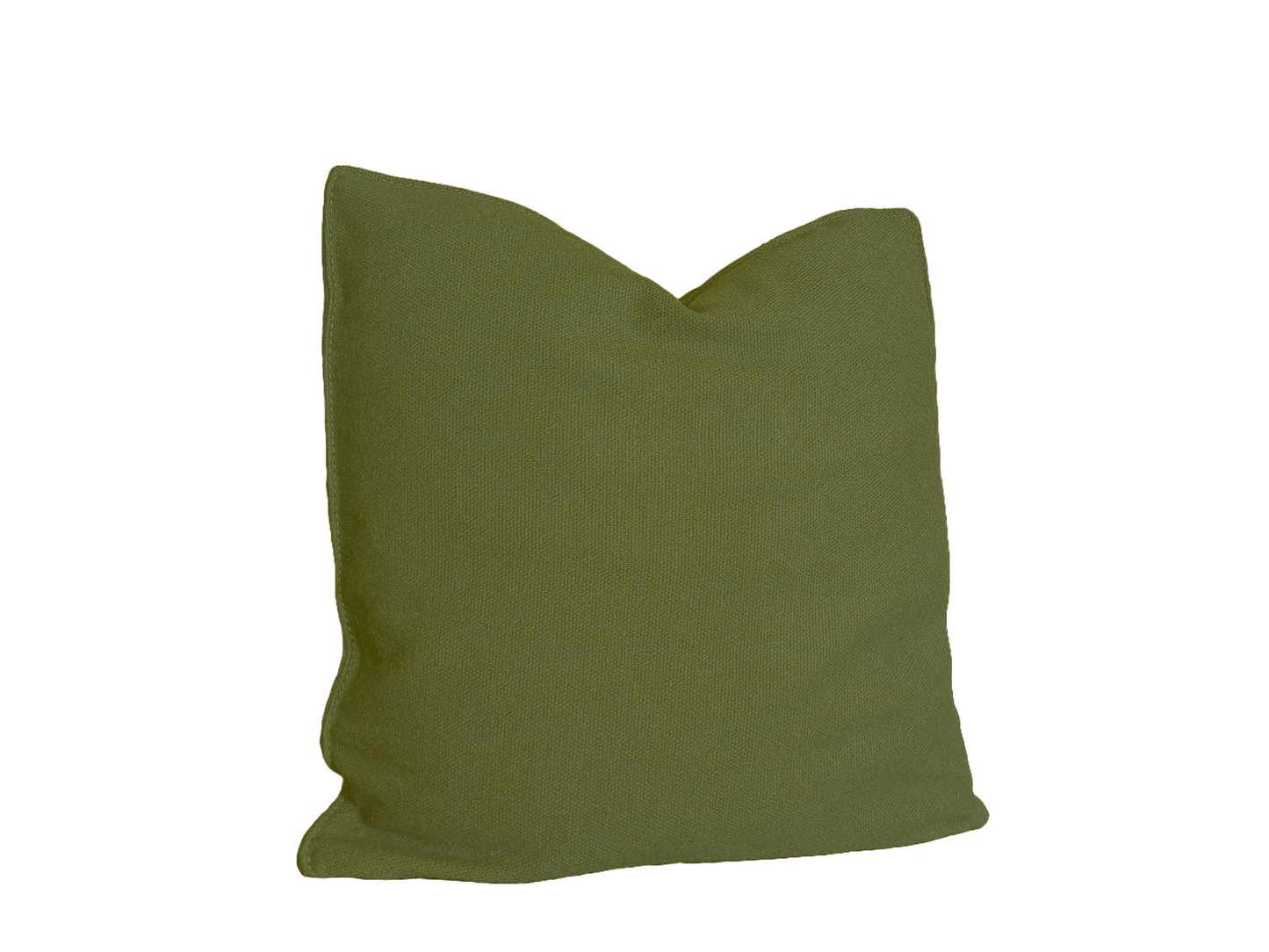 Throw Pillow Fiji Green